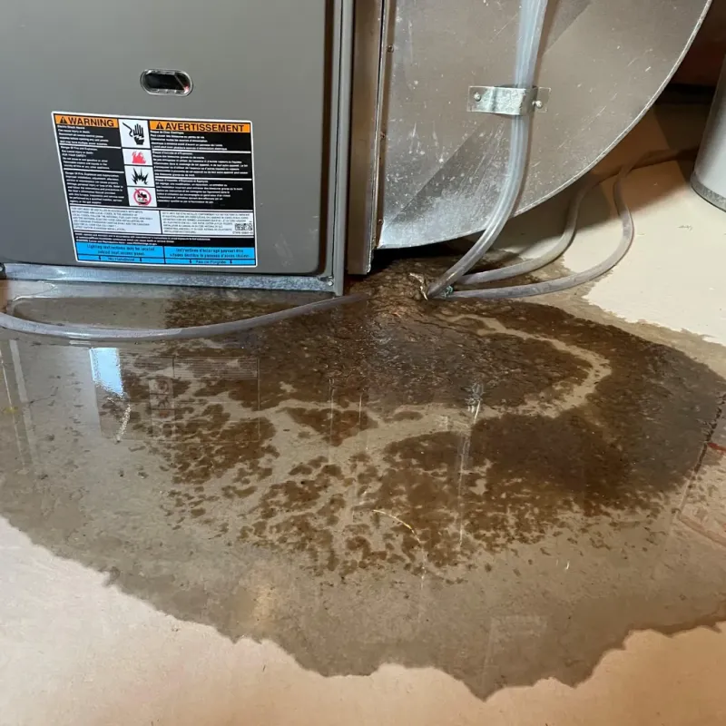 Appliance Leak Cleanup in Jensen Beach, FL